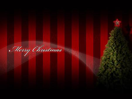 xmas tree and stripes - fun, joy, winter, christmas, santa, presents, holiday, religious, happy