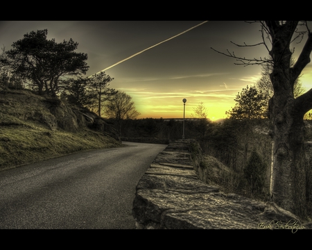 Sweden, Goteborg - yellow sky, trees, road, clouds