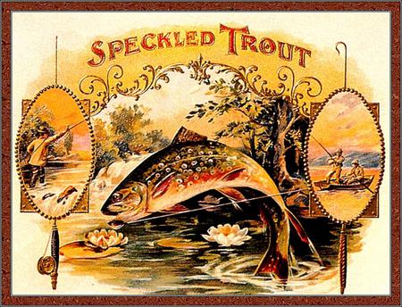 Speckled Trout - trout, folk art, cigar box, fish, other