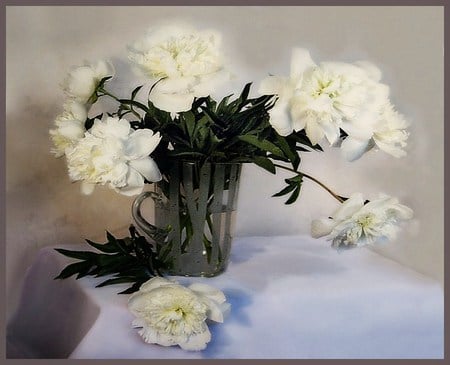 Peonies in white - white, peonies, flowers, table, vase, green leaves