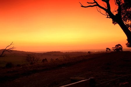 Under A Blood Red Sky - amazing, beautiful, photography, orange, tree, sunset, nature, red, sun, sky