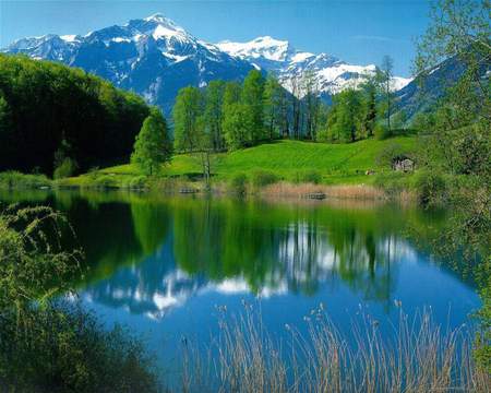 Bernerland - lake, forest, mountain, np