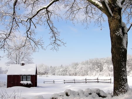 Winter Time - pretty, house, trees, winter, beautiful, snow, landscape, beauty, lovely, white, nature, houses, peaceful, cottage, sky