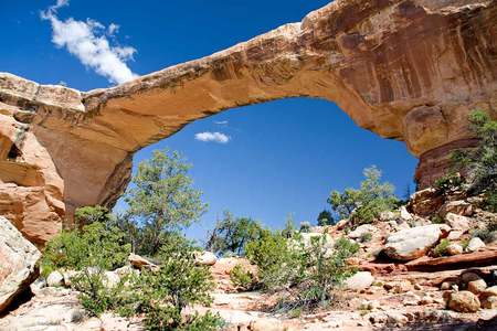 Natural Bridge - vegetation, rock, blue sky, natural bridge