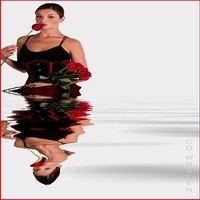 REFLECTION OF RED ROSES