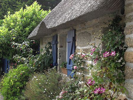 thached roof cottage - fullcolours, stone cottage, blue, beautiful, window, art photo, gardenflowers