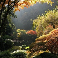 Fall Autumn Garden