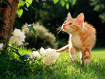 Exploring the garden