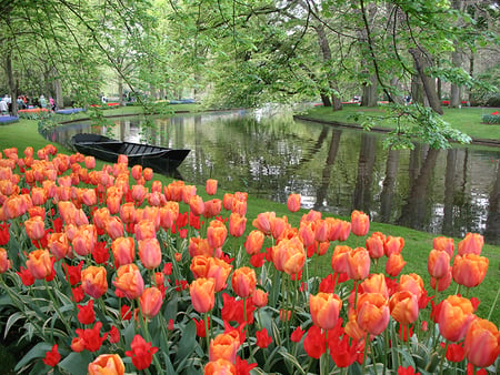 Park Flowers Gaeden - trees, water, beautiful, bouth, reflection, tulips, red, art photo, flowers garden, park