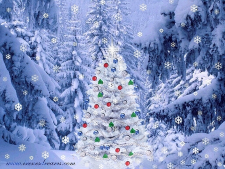 Christmas magic - snow, winter, holiday, tree, christmas