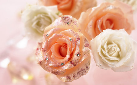 roses - flowers, roses, petals, pink