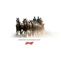 Budweiser