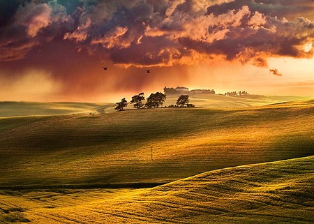 Rain must fall - stormy sky, trees, hills, green, rolling, dark clouds, valley