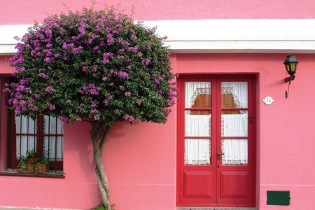 wonderful house - beautiful, house, tree, pink