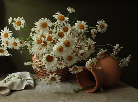 Daisy Potts - pots, sunny, cloth, table, spring, bouquet, flowers, daisies, fresh, bright, cut, ceramic