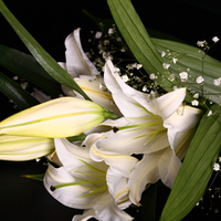 bouquet