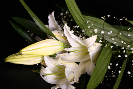 bouquet - nice, photography, bouquet, elegant, black, white, cool, beautiful, flowers, flower