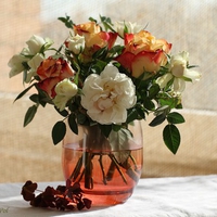 still life
