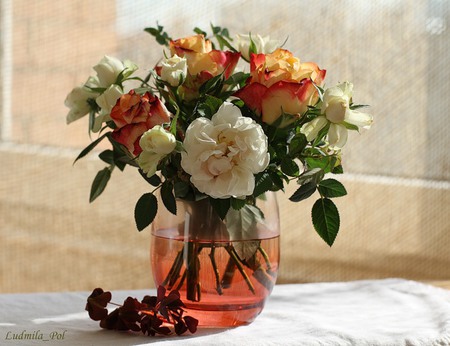 still life - nice, roses, photography, bouquet, elegant, rose, still life, cool, beautiful, flowers, photo, flower