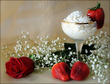 still life - strawberries, cream, elegant, beautiful, photography, romance, photo, cool, flower, still life, harmony, fruit, rose, nice, cup