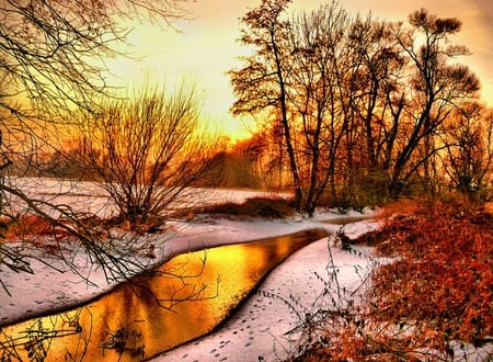 Winter is coming - winter, trees, snow, river