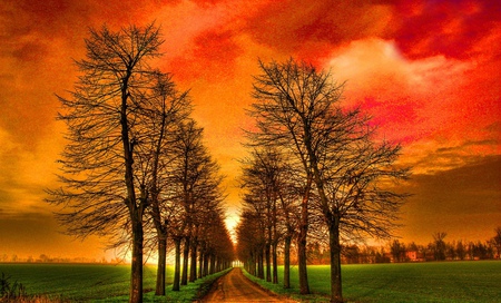 Sunset - road, trees, sunset, sky