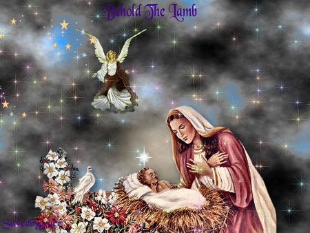 Behold the lamb - jesus christ, religion, god, christianity, christmas