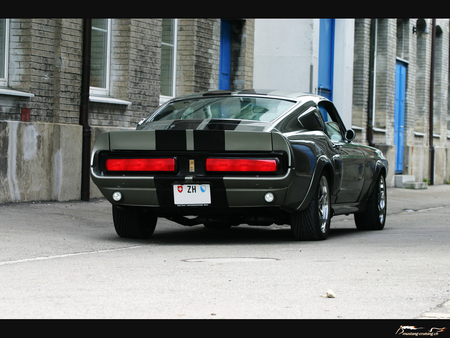 Stang - ford, silver, mustang, car