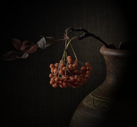 Dark Earth - musty, earthen ware, still life, berries, dark, red, jug, moutain ash, leaves, twigs