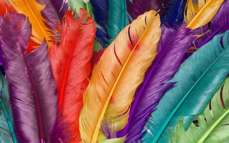 colorful feather - colorful, feather, mix, new