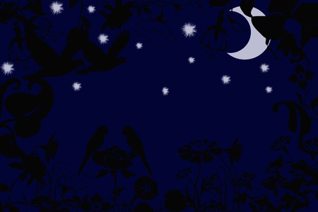 Night at Peace - flowers, moon, nature, night, peace