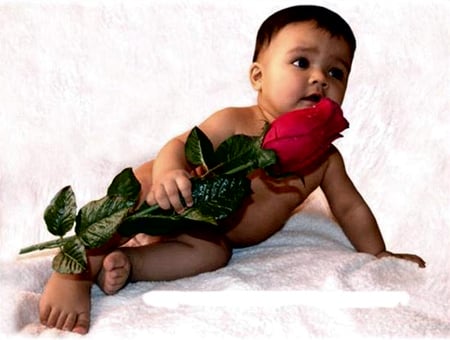 Gift for you - red, rose, gift, children, baby, sweet