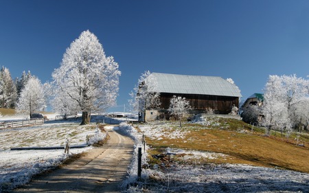 The First Snow - landscape, snow, grass, path, houses, sky, house, trees, winter, beautiful, road, beauty, lovely, architecture, tree, white, nature, peaceful