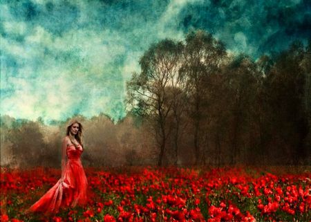 ON FIELD OF POPPY'S - woman, love, beauty, nature, forest, red, wild, cloudas, flower, poppy, dress