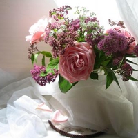 still life