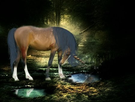 fantasy horse - trees, water, jungle, light, reflection, horse, dark