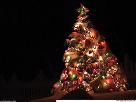 Christmas Tree - pine tree, fullcolours, lightining, beautiful, snow, art photo, christmas decoration, night