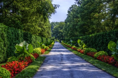 Place to Walk - picture, beautiful, garden, place, cool