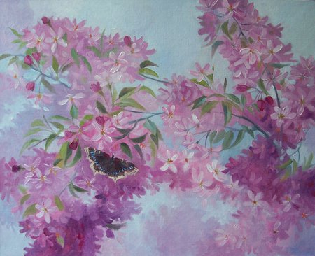 Crab Apple Blossoms - dainty, pretty, blossoms, violets, spring, tree, blues, flowers, colours, soft, garden, pinks, butterfly, pastel