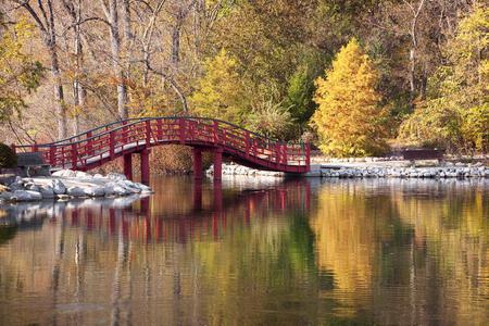 Japanese Autumn  Garden Park - water, yellow, tress, beautiful, reflection, autumn, red, garden, art photo, bridge, park