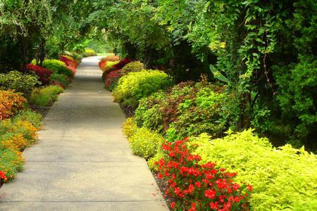 Flowers Colour Garden - greens, flowers, fullcolours, beautiful, art photo, park alley