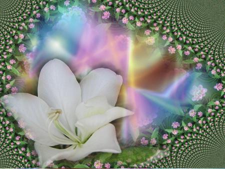 Silk flowers - white, flower, petals, lily