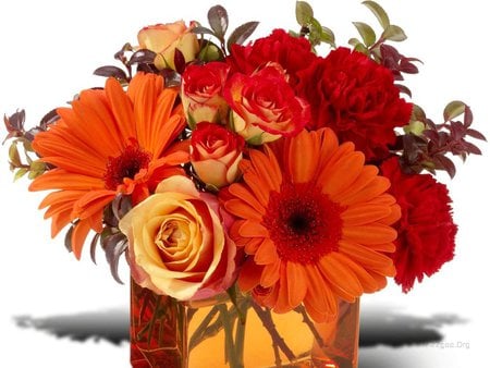 Pretty flower bouquet - oarange, gerbera, daisy, still life, rose, flower