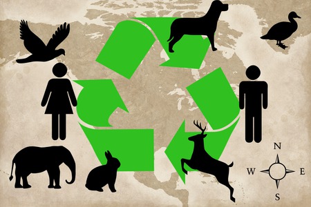 Recycle - nature, recycle, green, animals