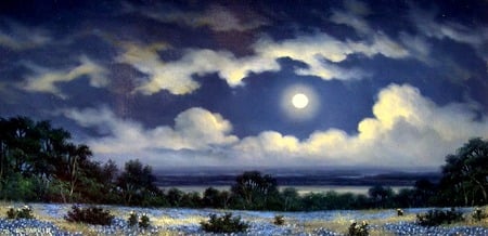 The Glow - flowers, clouds, moon, trees, field, night, full moon