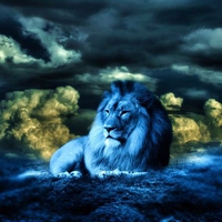 LION IN BLUE LIGHT