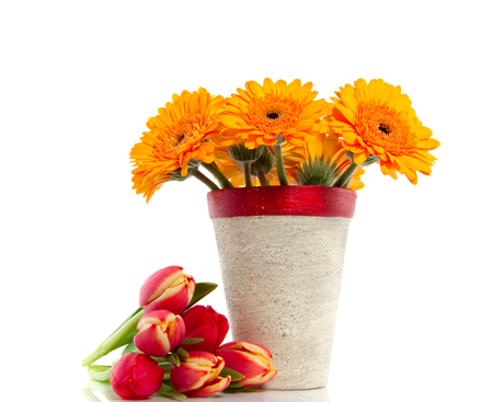 Flowers - beautiful, photography, photo, cool, flower, still life, bouquet, tulip, harmony, flowers, gerberas, tulips, nice, gerbera