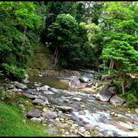 nice waterfalls