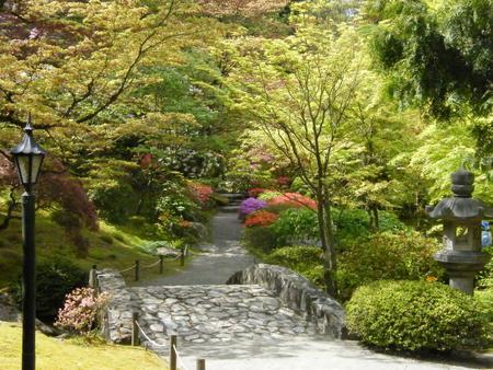 Japanese Park Garden - greens, flowers, fullcolours, trees, beautiful, lamplighter, art photo, park alley