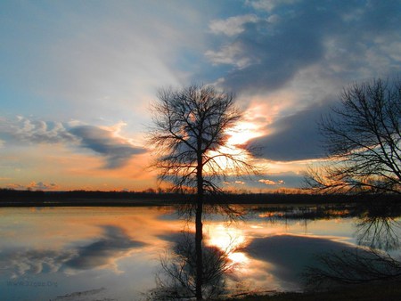 Kupa River Sunset  Croatia - sky, croatia, kupa, tree, sunset